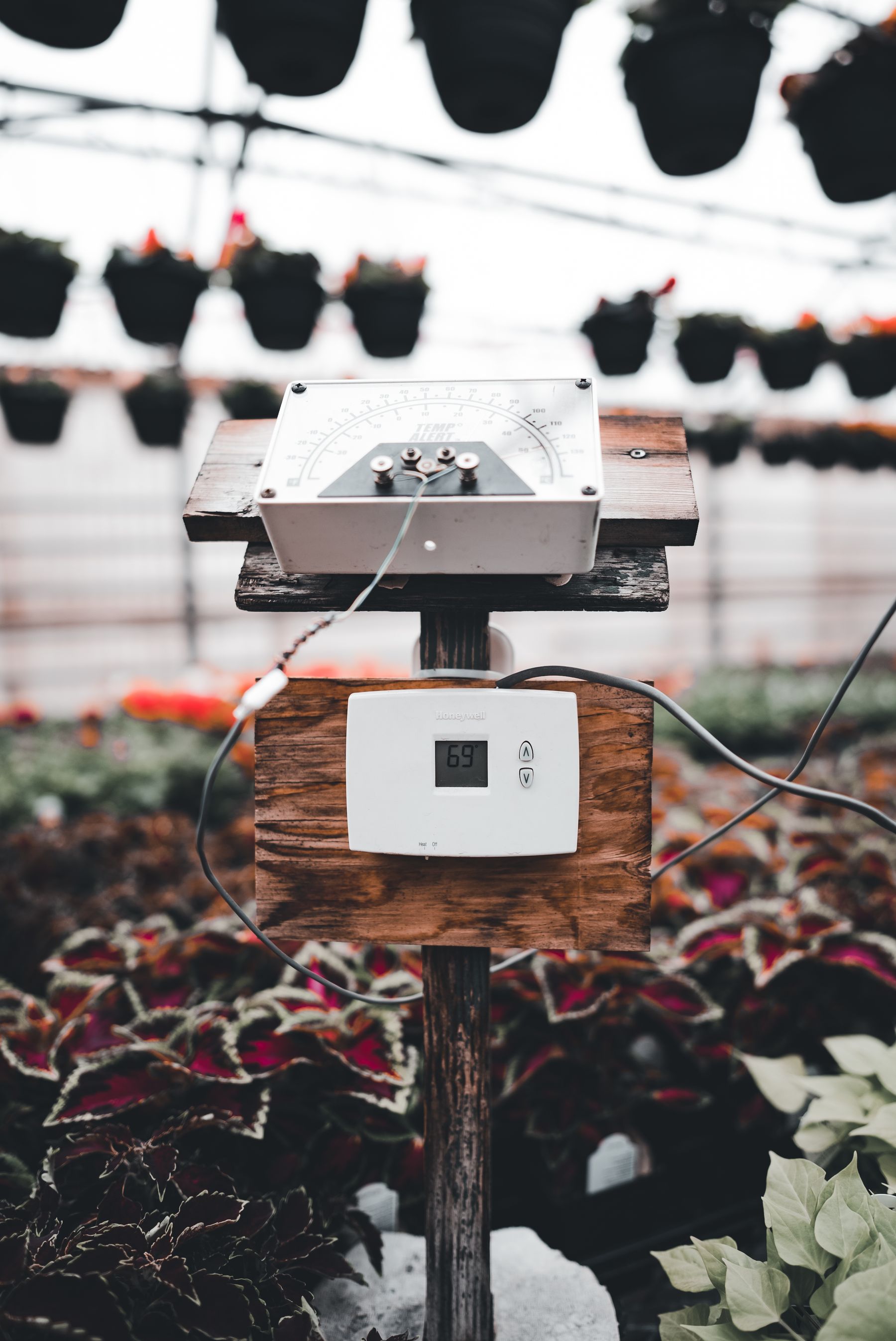 Sensor e controlador de clima em estufa