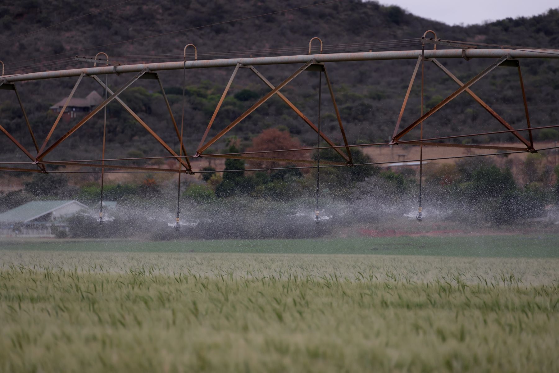Sistema de irrigação agrícola