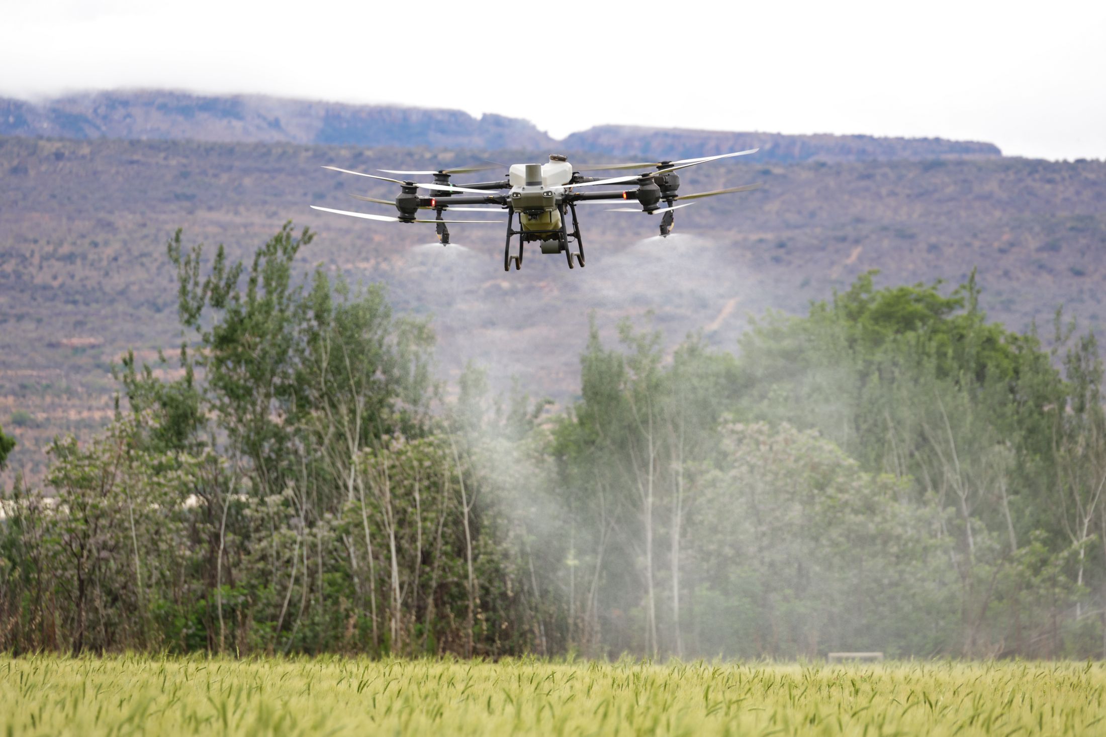Drone agrícola sobre plantação
